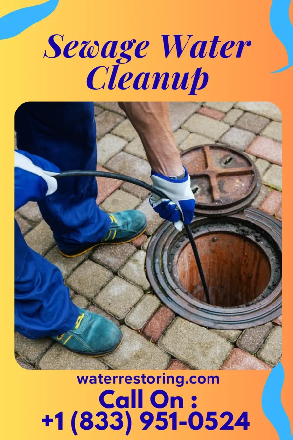 Sewage Water Cleanup in York, AL